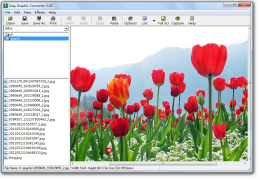 download graphic converter for mac free